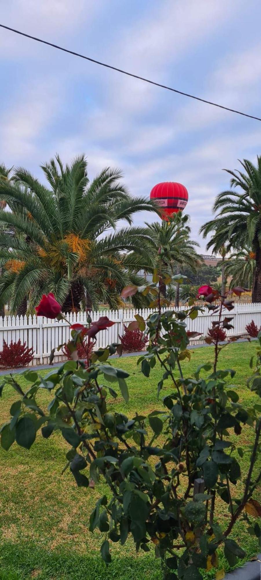 The Cottage At Seppeltsfield, Barossa Valley Экстерьер фото